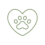 CARDIOLOGIA Icona di cardiologia