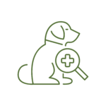 DERMATOLOGIA Icona di dermatologia veterinaria