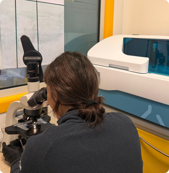 Laboratorio Analisi Laboratorio analisi interno all'Ospedale degli Animali di Ferrara per refertazioni rapide