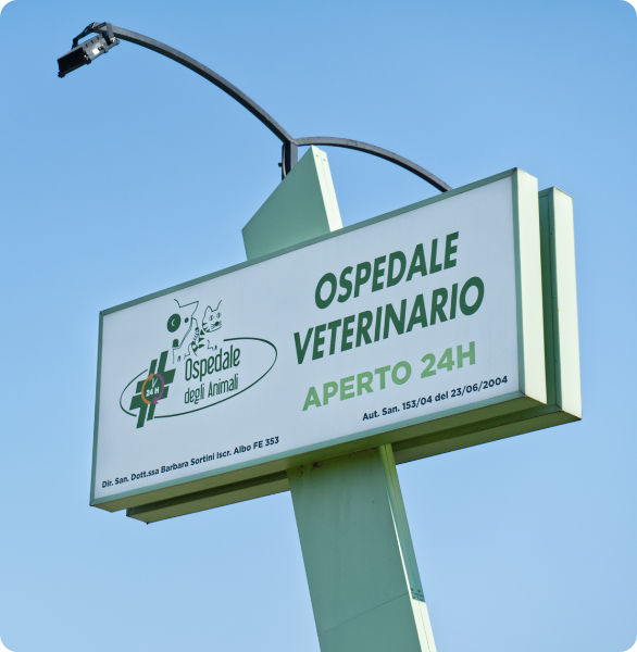 Ospedale degli Animali Pronto Soccorso Veterinario Ospedale degli Animali Pronto Soccorso Veterinario sempre aperto