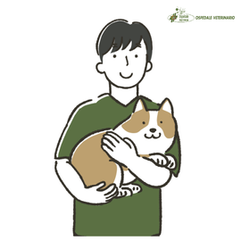 Avatar veterinario
